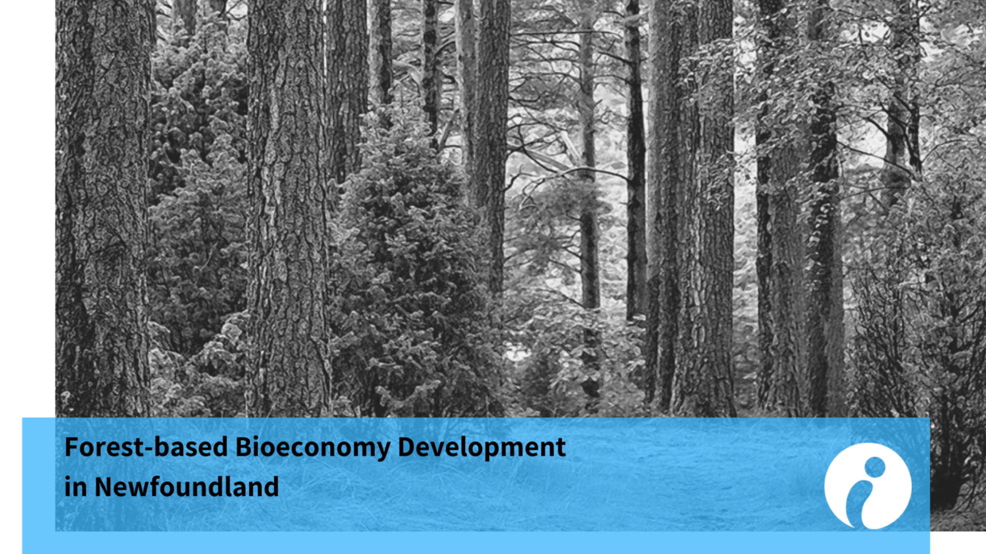 Forest-based Bioeconomy Development in NL